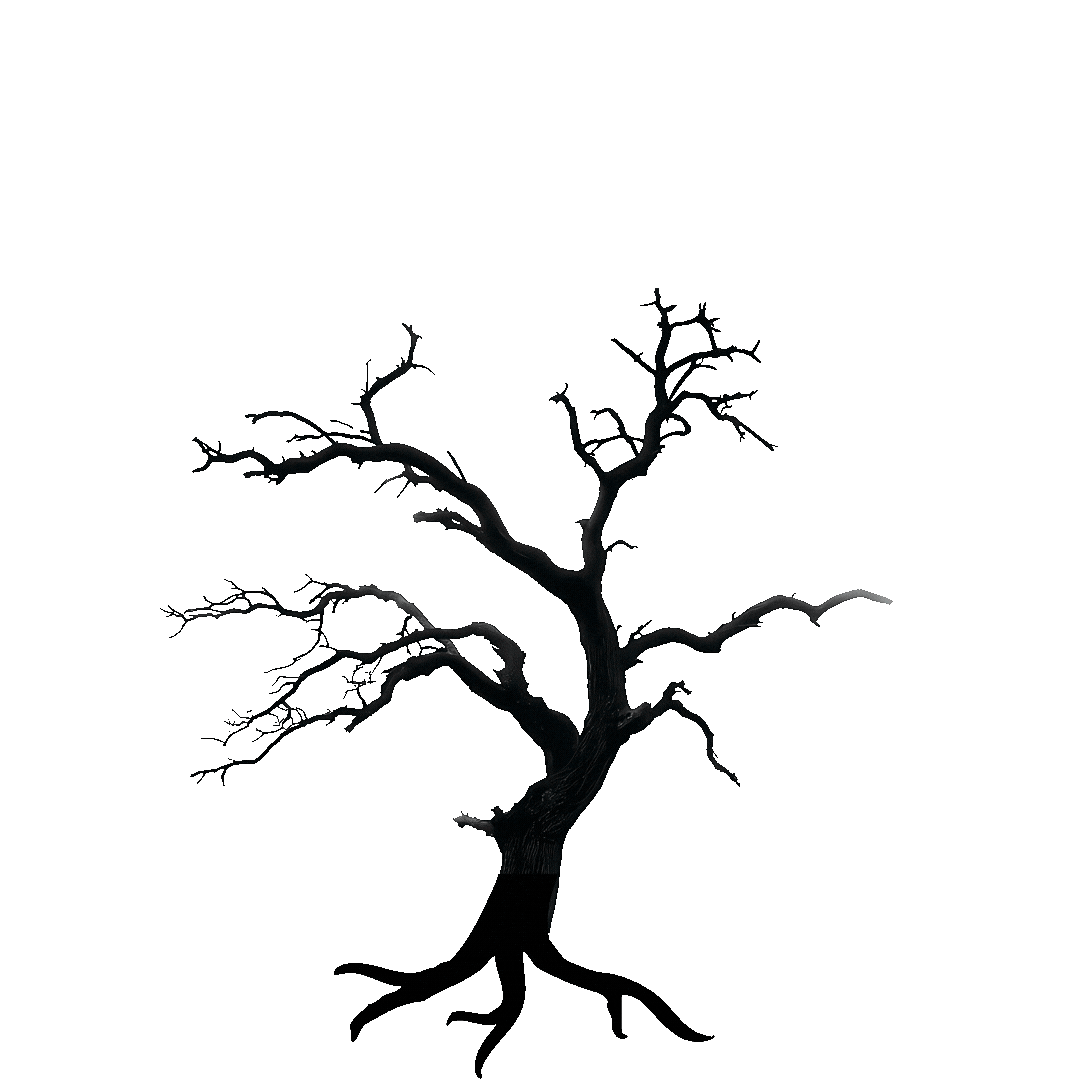 logo wp (facebook video) (1)